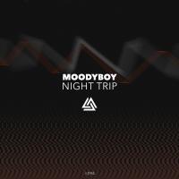 Artwork for Night Trip by Moodyboy