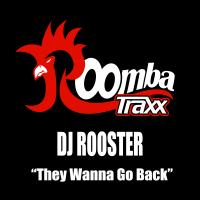 Artwork for They Wanna Go Back by DJ Rooster