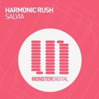 Artwork for Salvia by Harmonic Rush