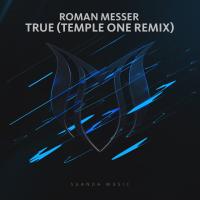 Artwork for True (Temple One Remix) by Roman Messer