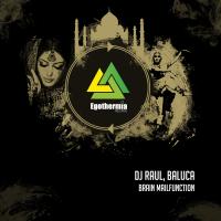 Artwork for Brain Mailfunction by DJ Raul