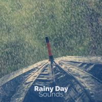 Artwork for Rainy Day Sounds by Rainfall