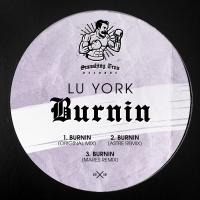 Artwork for Burnin by Lu York