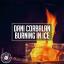 Artwork for Burning In Ice (Radio Edit)