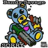 Artwork for Sorry by bandy savage