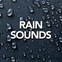 Artwork for Rain Sound by Rain Sounds