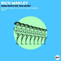 Artwork for How Much Do You Acid? by Rich Wakley