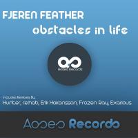 Artwork for Obstacles In Life by Fjeren Feather