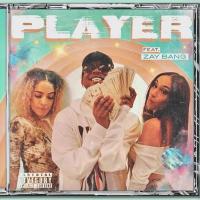 Artwork for Player (feat. ZayBang) by Goldie