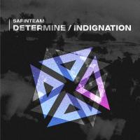 Artwork for Determine \ Indignation by Safinteam