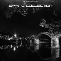 Artwork for Spring Collection by Various Artists