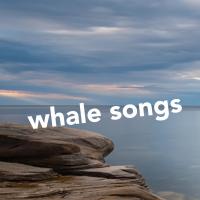 Artwork for Whale Songs by Whale Sounds