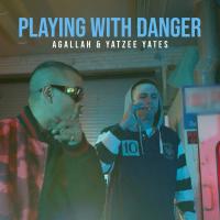 Artwork for Playing With Danger by Agallah