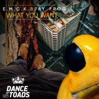 Artwork for What You Want by E.M.C.K.