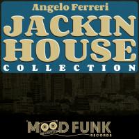 Artwork for JACKIN HOUSE Collection by Angelo Ferreri