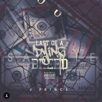 Artwork for Last of a Dying Breed by j prince