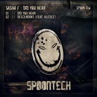 Artwork for Did You Hear by Sasha F