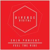 Artwork for Feel The Vibe by Solo Projekt