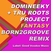 Artwork for Fantasy (Born2Groove Remix) by Domineeky