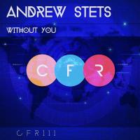 Artwork for Without You by Andrew StetS