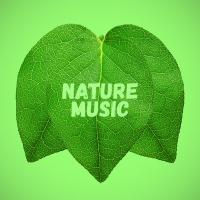 Artwork for Nature Music by Nature Sounds Nature Music