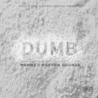 Artwork for Dumb by Poone