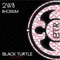 Artwork for Rhodium EP by 2WB