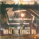 Artwork for What the Thugs Do (feat. Mobb Deep & Big Noyd)