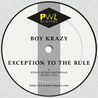 Artwork for Exception to the Rule by Boy Krazy