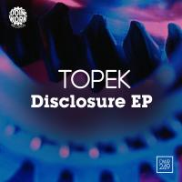 Artwork for Disclosure EP by Topek