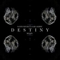 Artwork for DESTINY (Remix) by Sandy Rivera