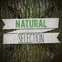 Artwork for Natural Selection by Nature Sound Collection