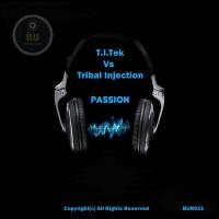 Artwork for Passion by T.i.tek