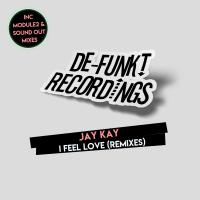 Artwork for I Feel Love (Remixes) by Jay Kay