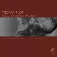 Artwork for Perfection Without Exception by Tropar Flot