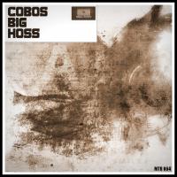 Artwork for Big Hoss by Cobos