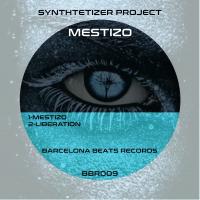 Artwork for Mestizo by Synthtetizer Project