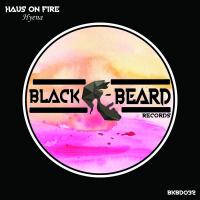 Artwork for Hyena by Haus On Fire