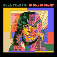 Artwork for In Plain Sight by Neal Francis