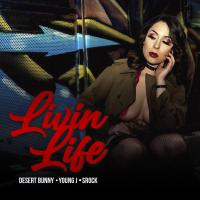 Artwork for Livin Life by Desert Bunny