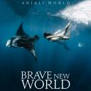 Artwork for Brave New World