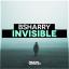 Artwork for Invisible (Original Mix)