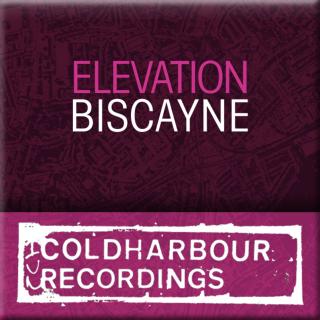 Artwork for Biscayne (Lemon & Einar K Remix)
