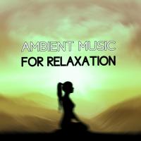 Artwork for Ambient Music for Relaxation by Musica Relajante