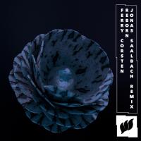 Artwork for Reborn by Ferry Corsten