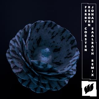 Artwork for Reborn (Jonas Saalbach Extended Remix)