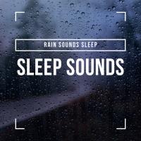 Artwork for Sleep Sounds by Rain Sounds Sleep