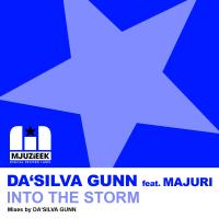 Artwork for Into The Storm by Da Silva Gunn