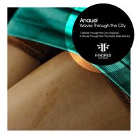 Artwork for Waves Through The City by Anauel