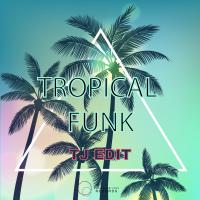 Artwork for Tropical Funk by Tj Edit